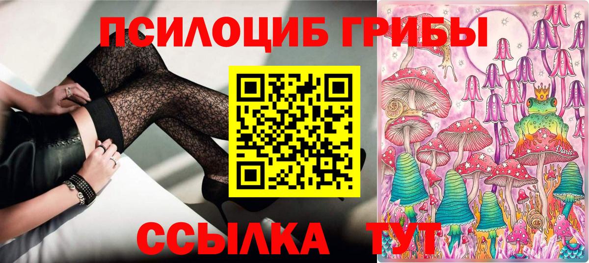 Псилоцибиновые грибы Psilocybe  Вход с VPN  Дюртюли  Галлюциногенные грибы Cubensis 